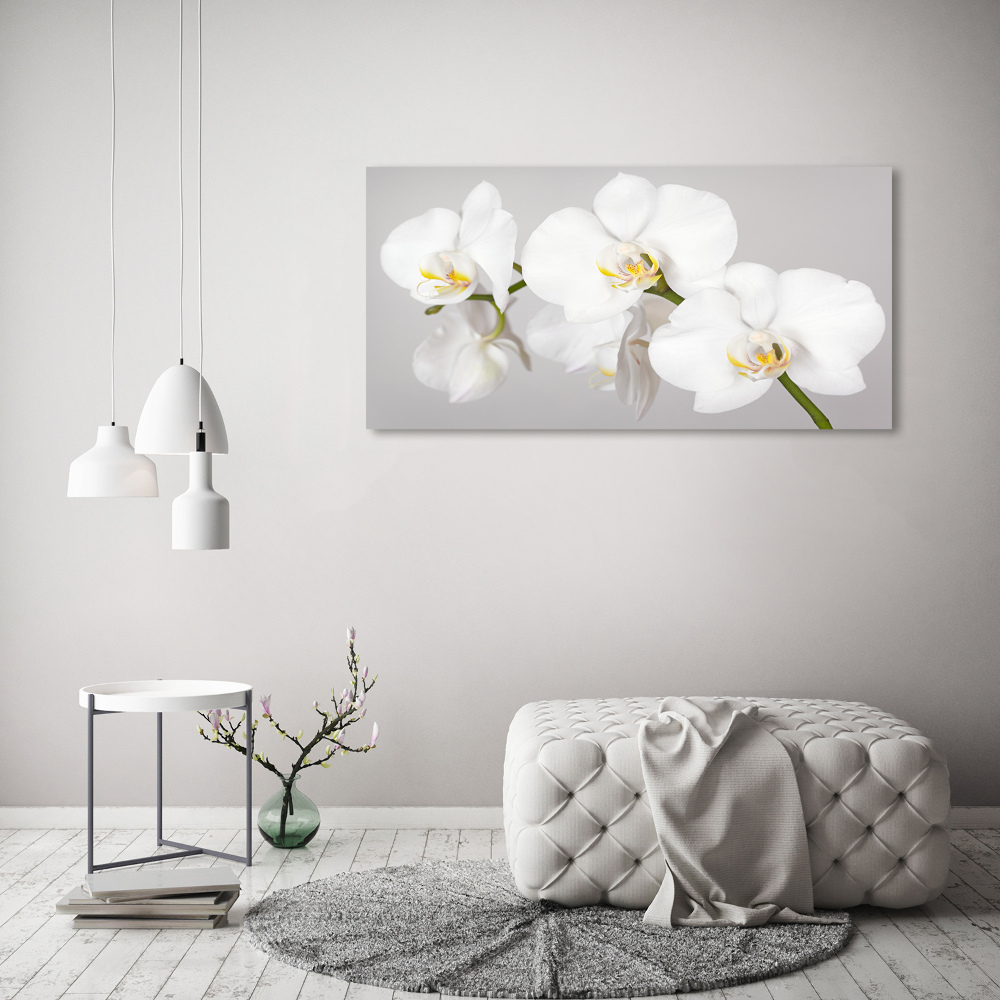 Tableau toile imprimée Orchidée