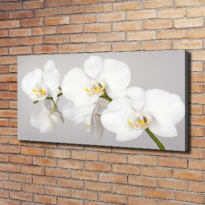 Tableau toile imprimée Orchidée