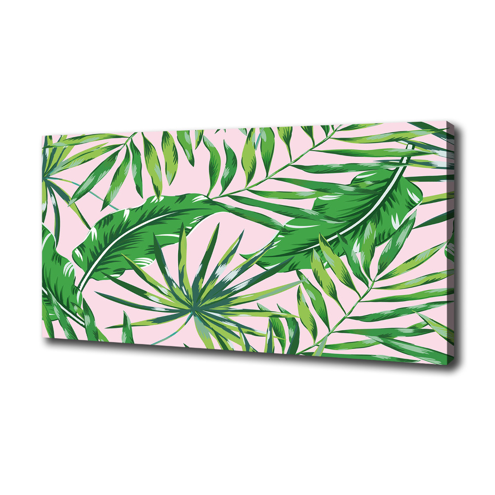 Tableau sur toile Feuilles tropicales fond rose