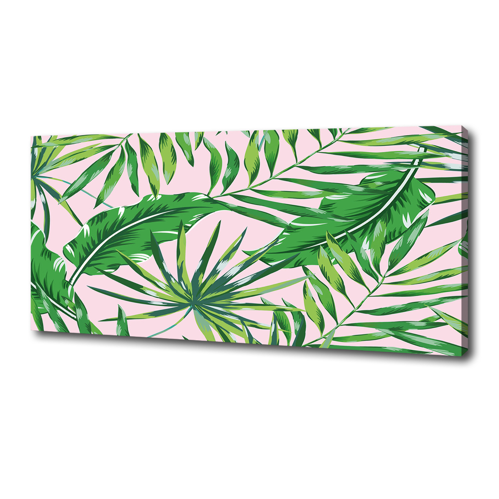 Tableau sur toile Feuilles tropicales fond rose