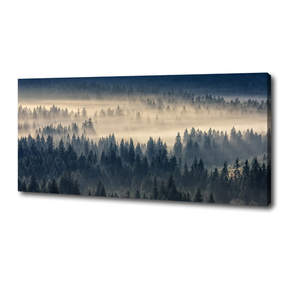 Tableau imprimé sur toile Brouillard sur la forêt