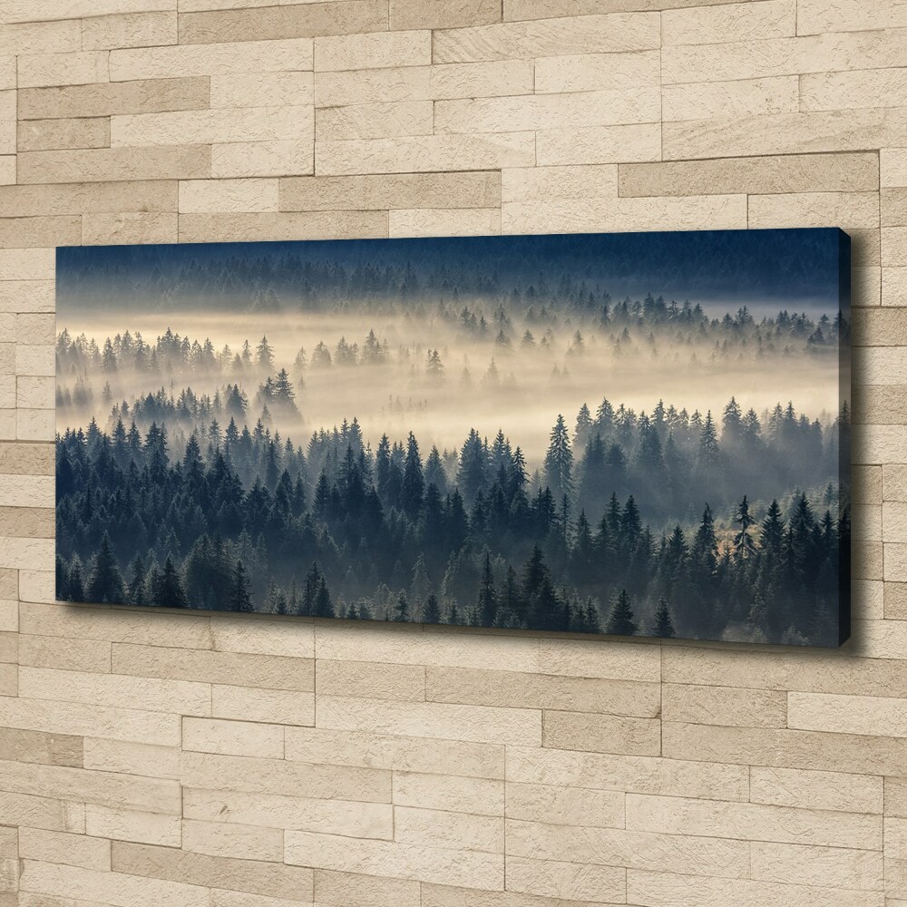 Tableau imprimé sur toile Brouillard sur la forêt