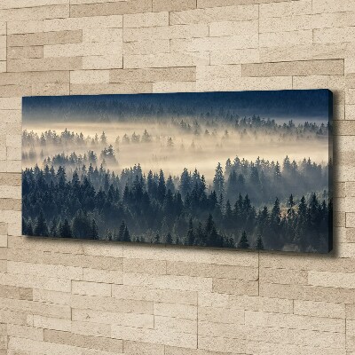 Tableau imprimé sur toile Brouillard sur la forêt