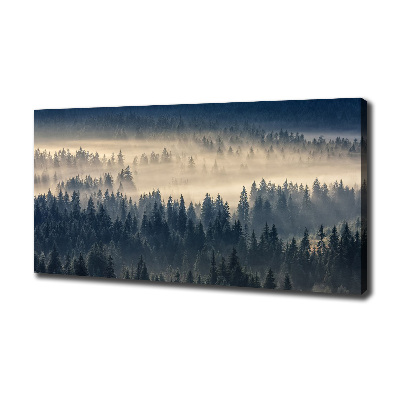 Tableau imprimé sur toile Brouillard sur la forêt