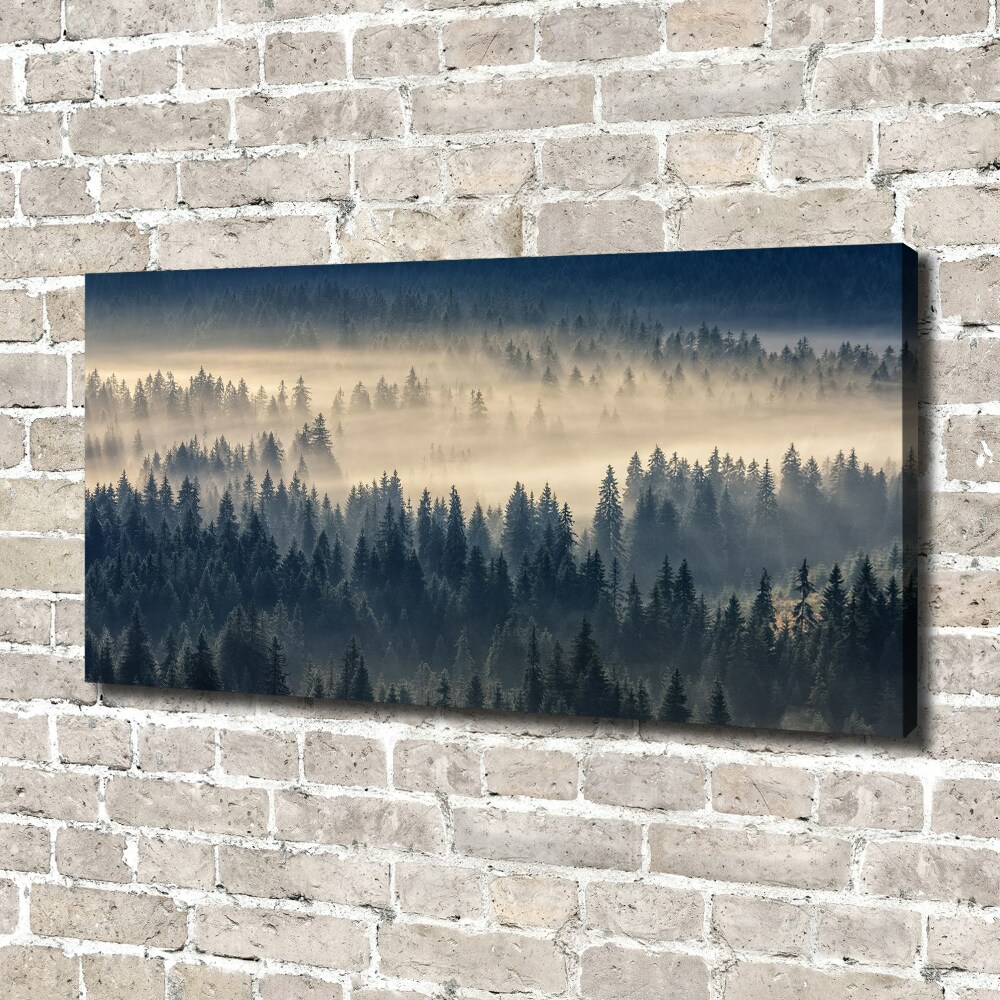 Tableau imprimé sur toile Brouillard sur la forêt