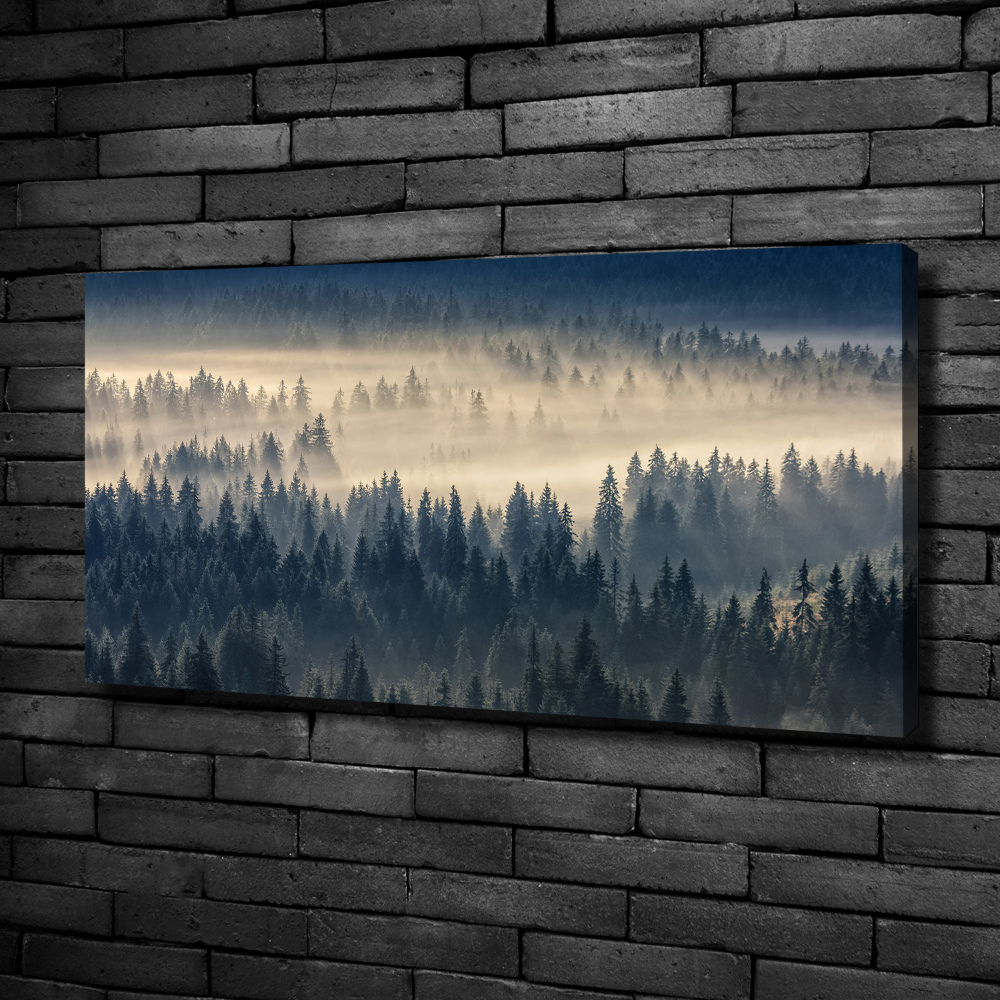 Tableau imprimé sur toile Brouillard sur la forêt