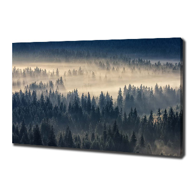 Tableau imprimé sur toile Brouillard sur la forêt