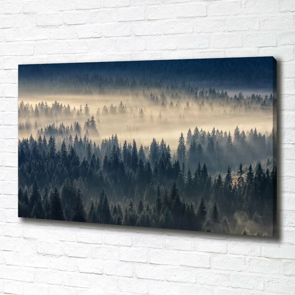 Tableau imprimé sur toile Brouillard sur la forêt