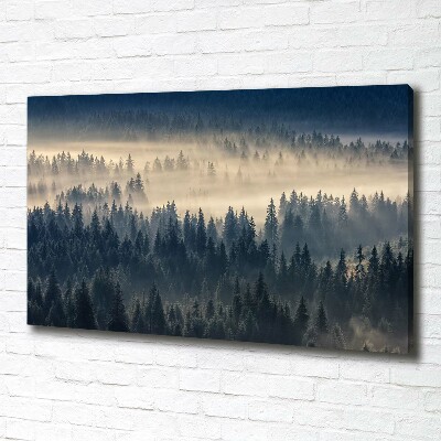 Tableau imprimé sur toile Brouillard sur la forêt