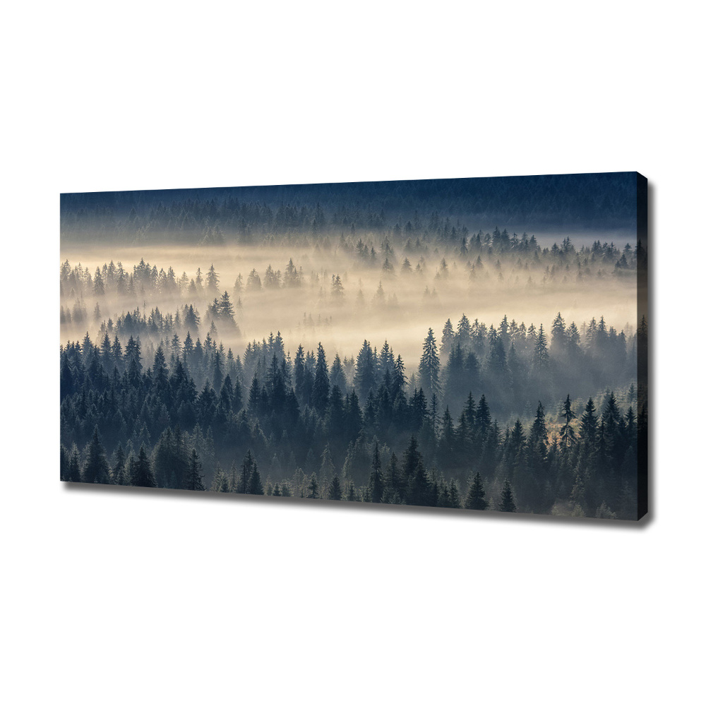 Tableau imprimé sur toile Brouillard sur la forêt