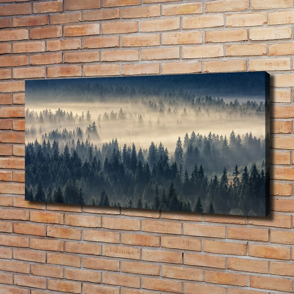 Tableau imprimé sur toile Brouillard sur la forêt