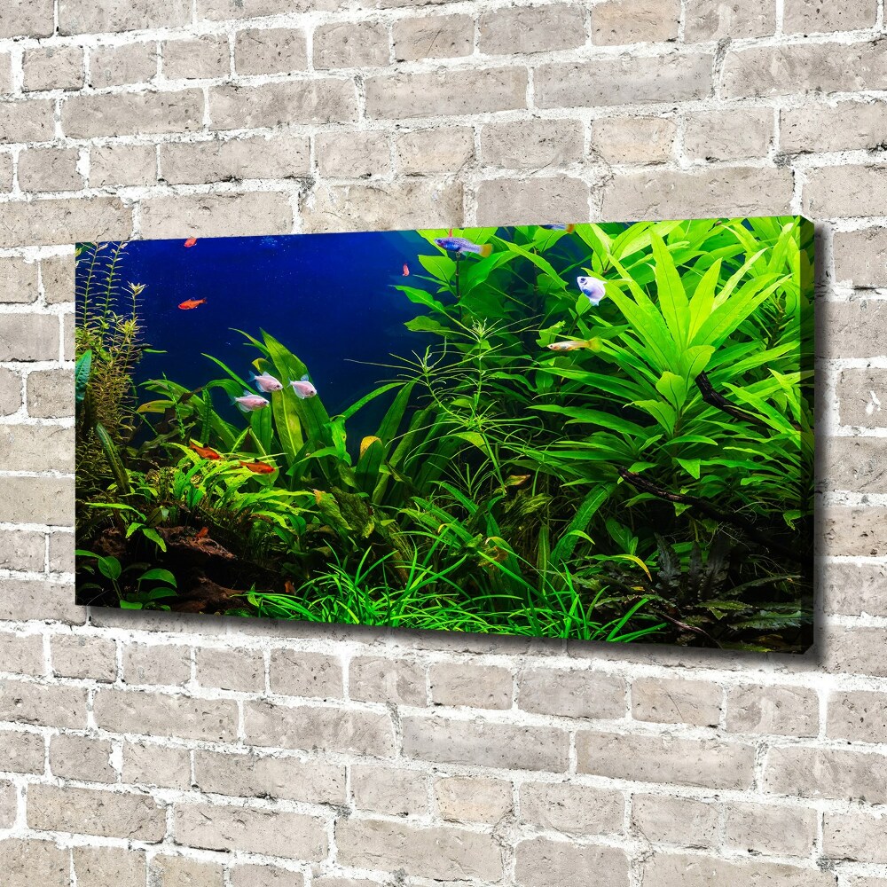 Tableau toile imprimée Poissons dans un aquarium