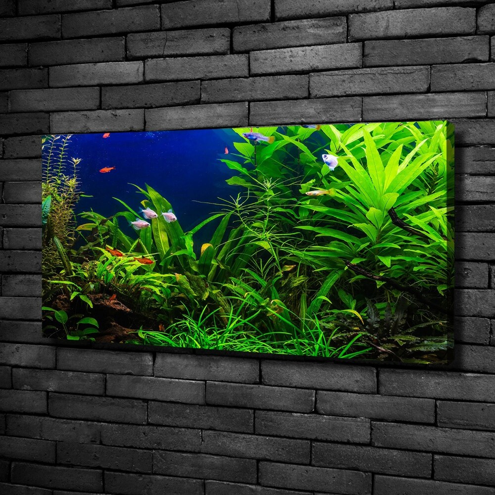 Tableau toile imprimée Poissons dans un aquarium