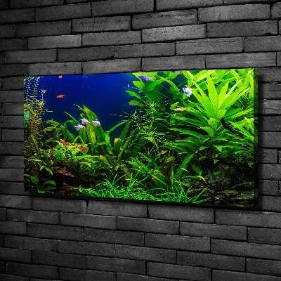 Tableau toile imprimée Poissons dans un aquarium