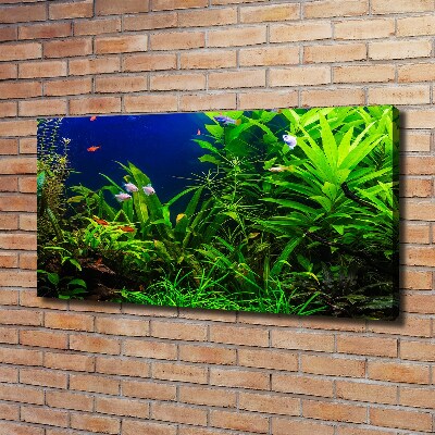 Tableau toile imprimée Poissons dans un aquarium