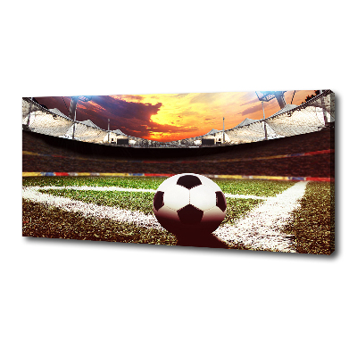 Tableau imprimé sur toile Football sur le stade