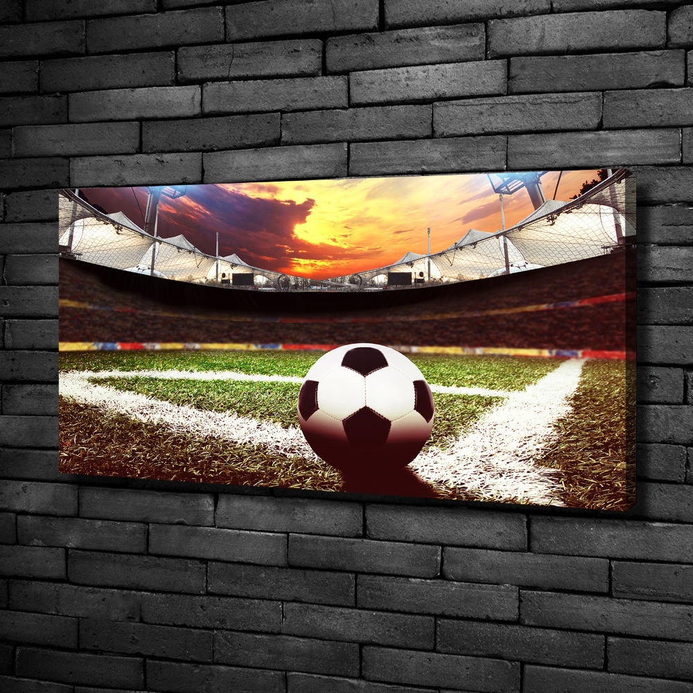 Tableau imprimé sur toile Football sur le stade