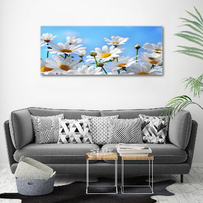 Tableau photo sur toile Marguerites