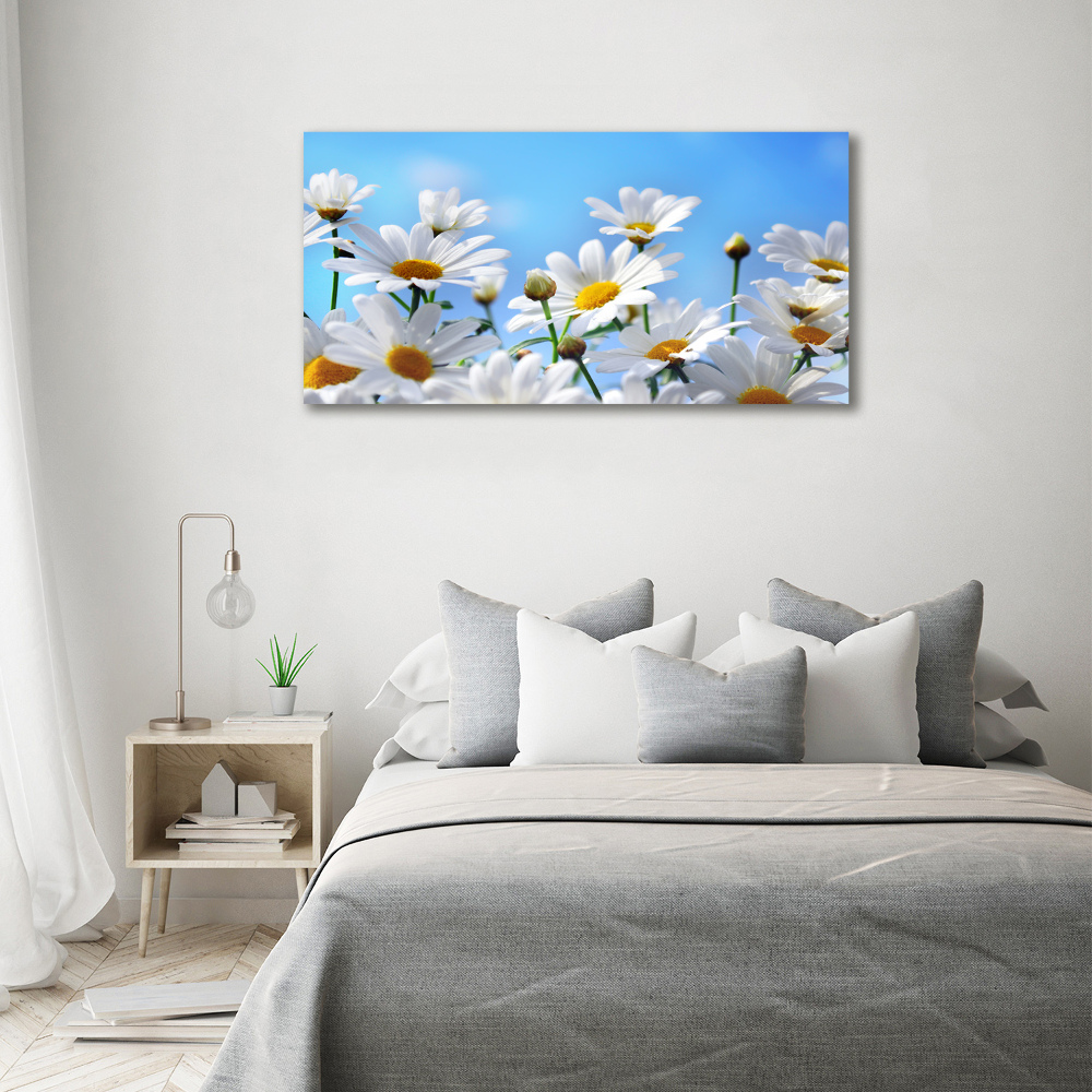 Tableau photo sur toile Marguerites