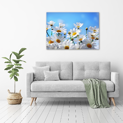 Tableau photo sur toile Marguerites