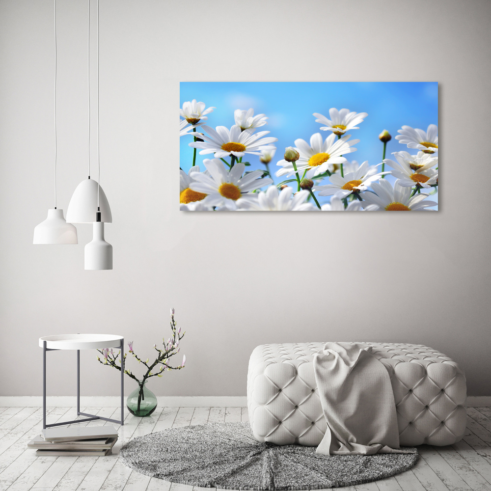 Tableau photo sur toile Marguerites