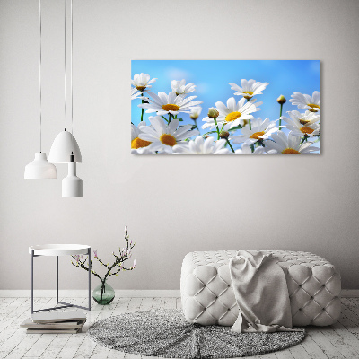 Tableau photo sur toile Marguerites