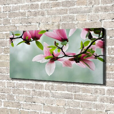 Tableau sur toile Le magnolia