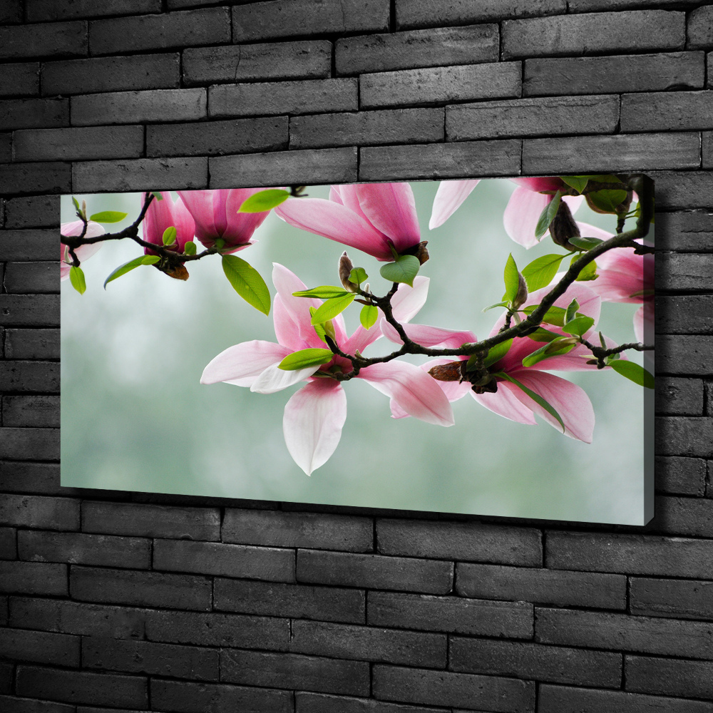 Tableau sur toile Le magnolia