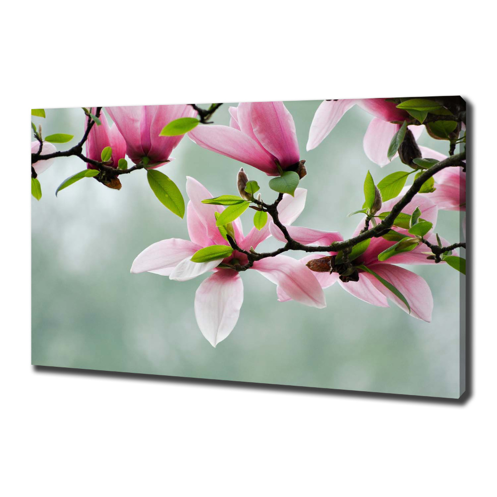 Tableau sur toile Le magnolia