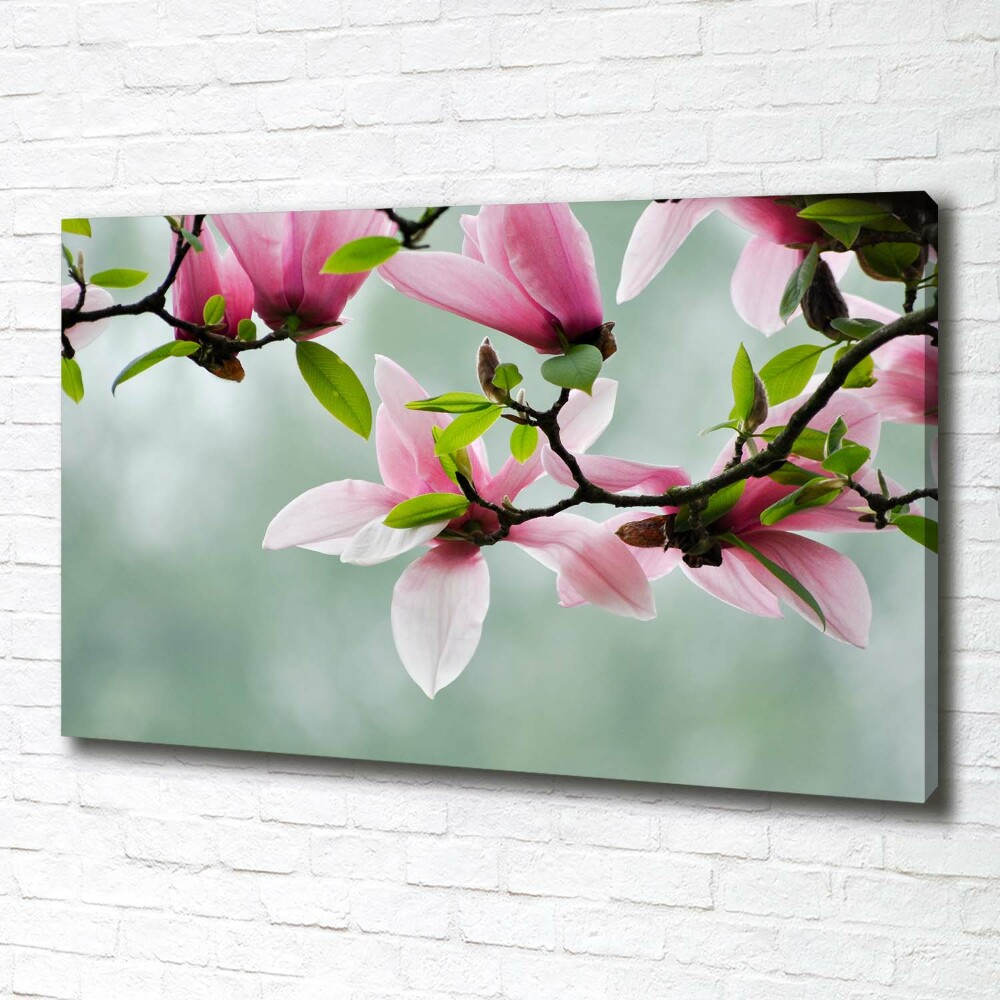 Tableau sur toile Le magnolia