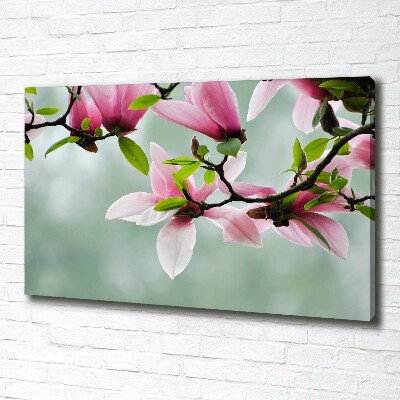 Tableau sur toile Le magnolia