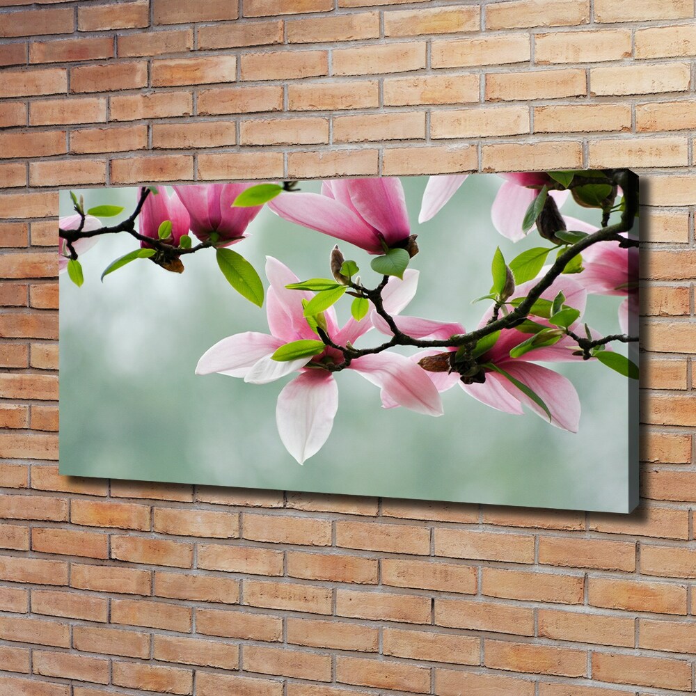 Tableau sur toile Le magnolia