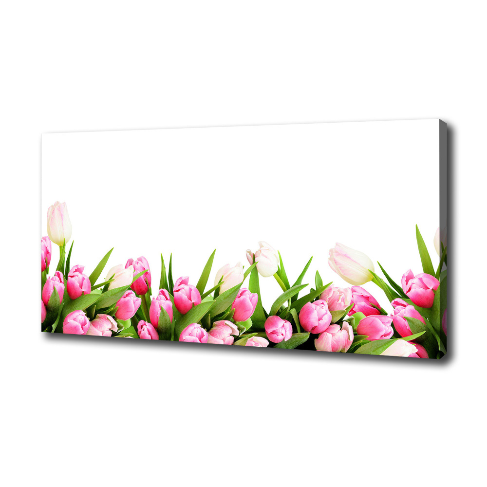 Tableau mural sur toile Tulipes roses