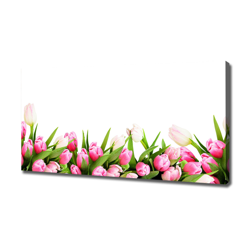 Tableau mural sur toile Tulipes roses