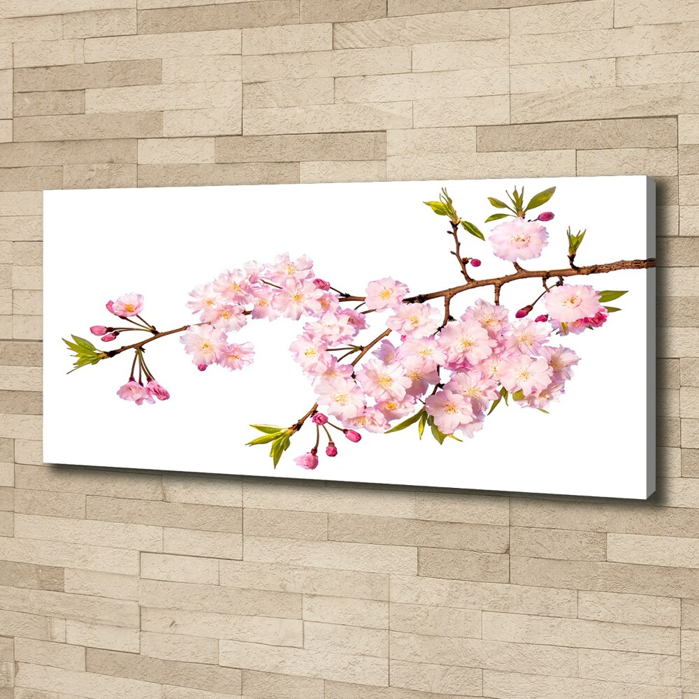 Tableau mural sur toile Rose sauvage