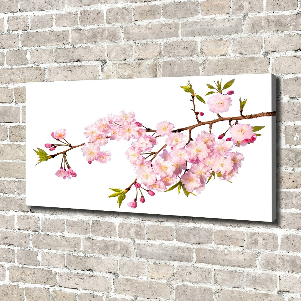 Tableau mural sur toile Rose sauvage