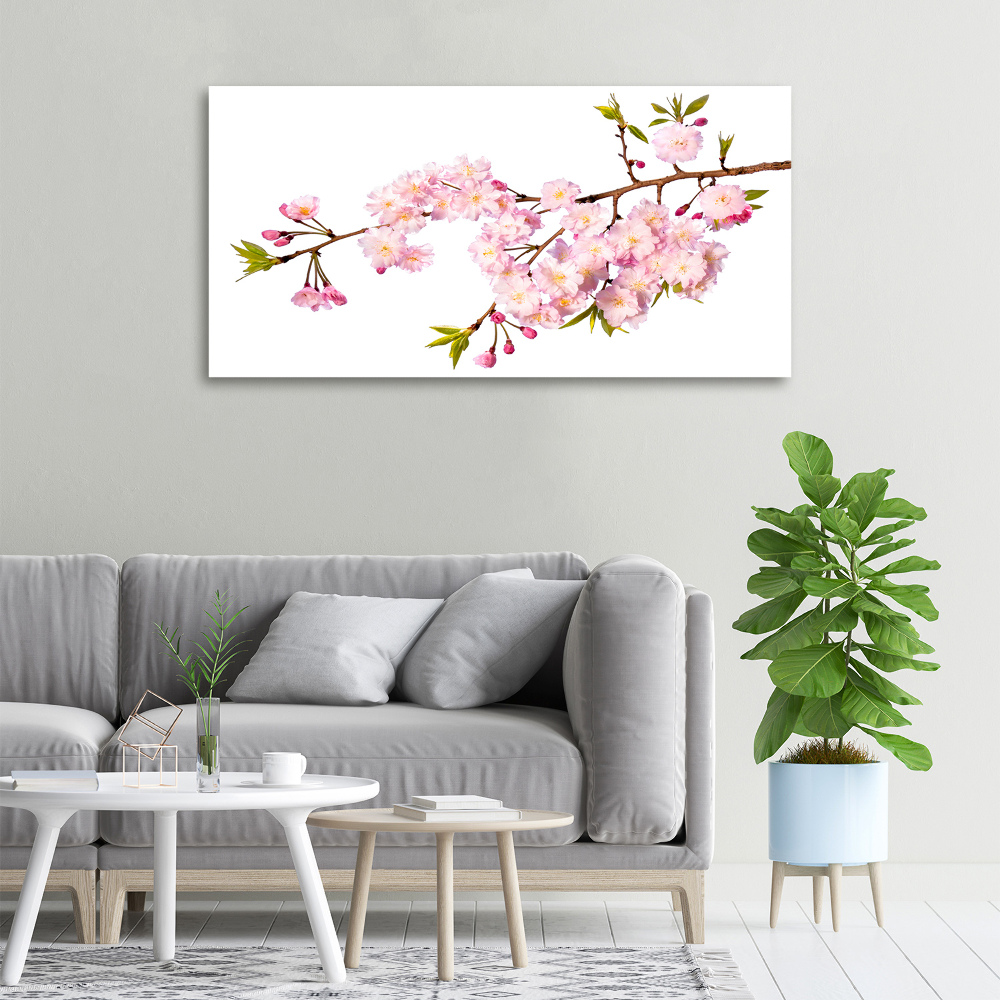 Tableau mural sur toile Rose sauvage