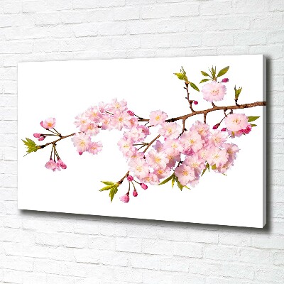 Tableau mural sur toile Rose sauvage