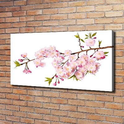 Tableau mural sur toile Rose sauvage