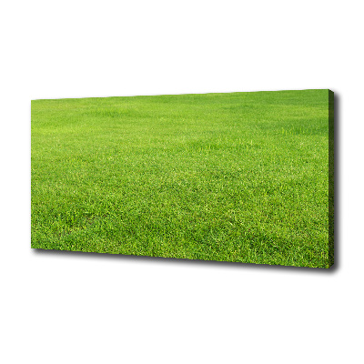 Tableau sur toile Herbe verte