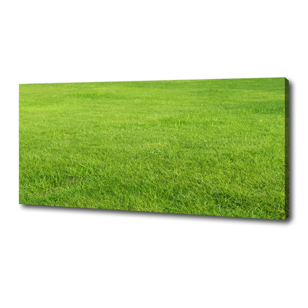 Tableau sur toile Herbe verte