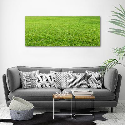 Tableau sur toile Herbe verte