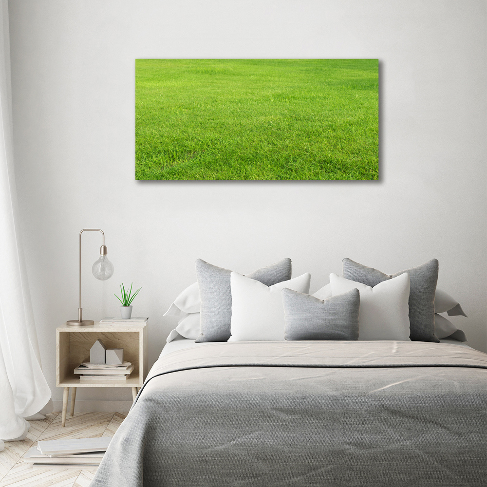 Tableau sur toile Herbe verte