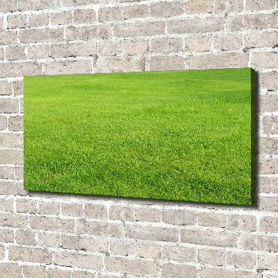 Tableau sur toile Herbe verte