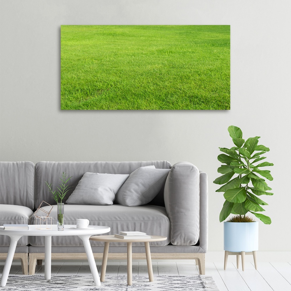 Tableau sur toile Herbe verte