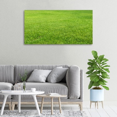 Tableau sur toile Herbe verte