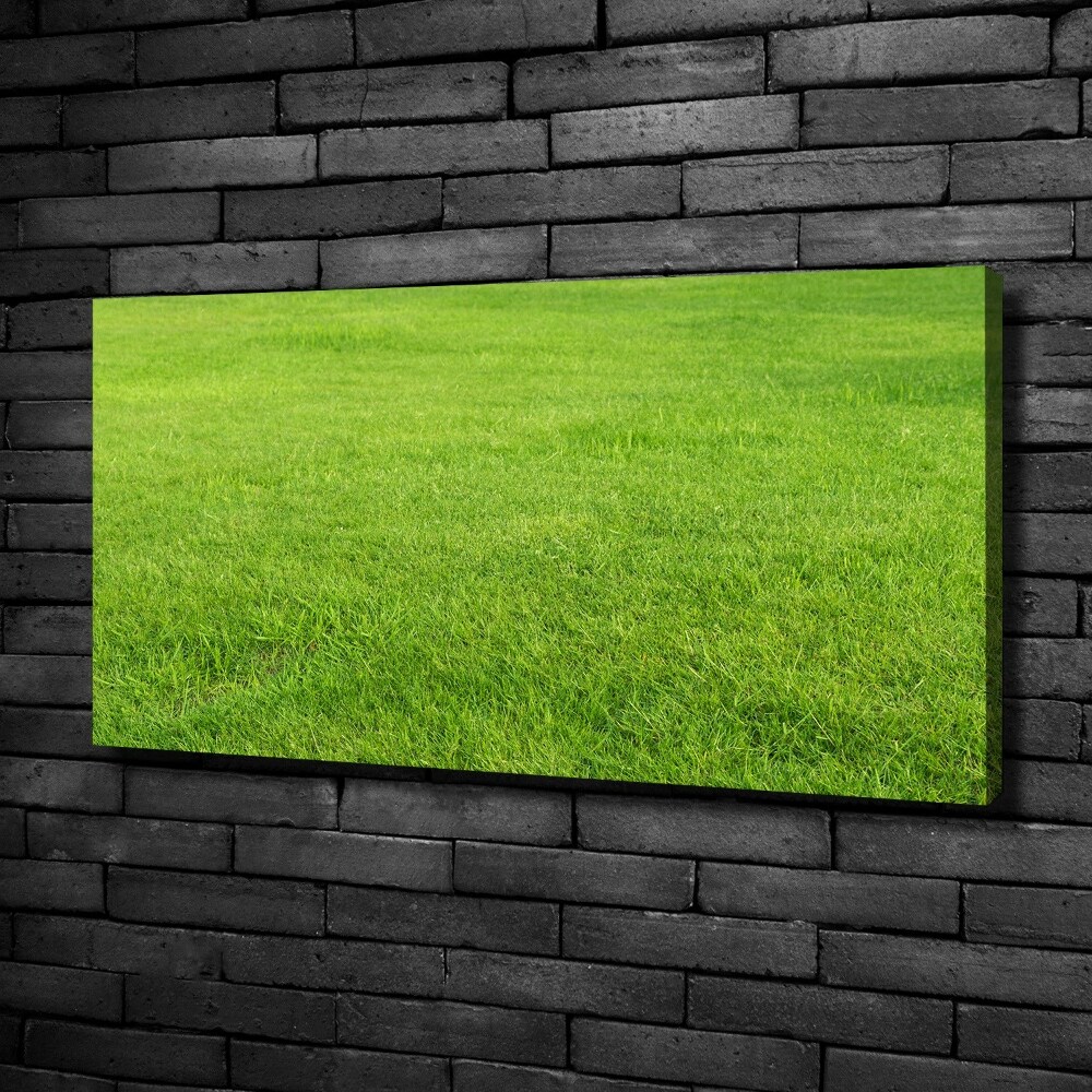 Tableau sur toile Herbe verte