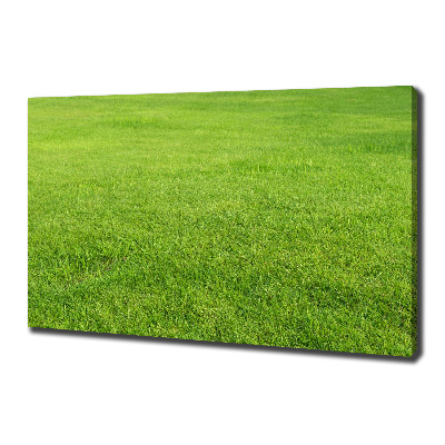 Tableau sur toile Herbe verte