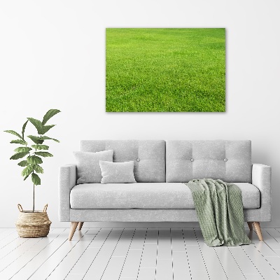 Tableau sur toile Herbe verte