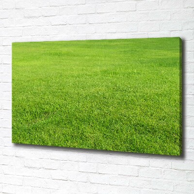 Tableau sur toile Herbe verte